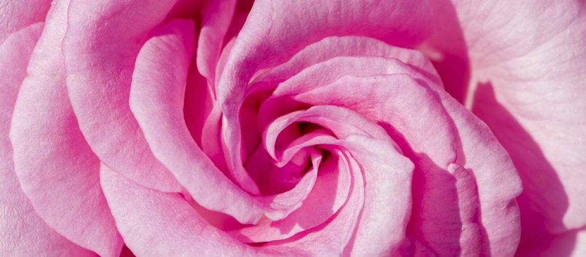 Coroa-de-Flores-para-homenagem-preço-promocional